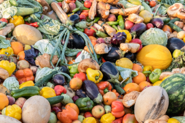 Fighting Food Waste