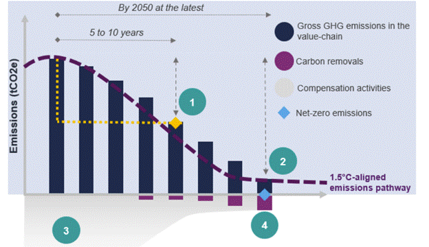 Net-Zero Pathway